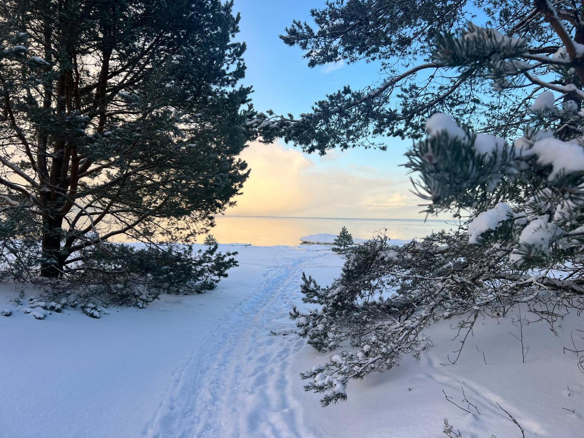With A Balcony By The Sea. Apartment Kesterciems